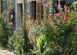 Jochen Mensing: Malvenschmuck am Kleinen �mmerle