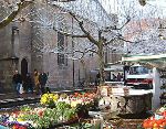 Jochen Mensing: Der samst�gliche Jakobusmarkt in T�bingen, Nordseite