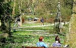 Jochen Mensing: Alter Botanischer Garten im Fr�hling 2001