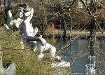 Jochen Mensing: Nymphengruppe am Anlagensee in T�bingen