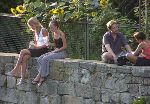 Jochen Mensing: Mauersitzerinnen am Neckar